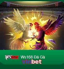 vinbet